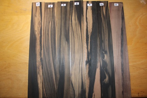 Pale moon ebenholz griffbrett - moon,